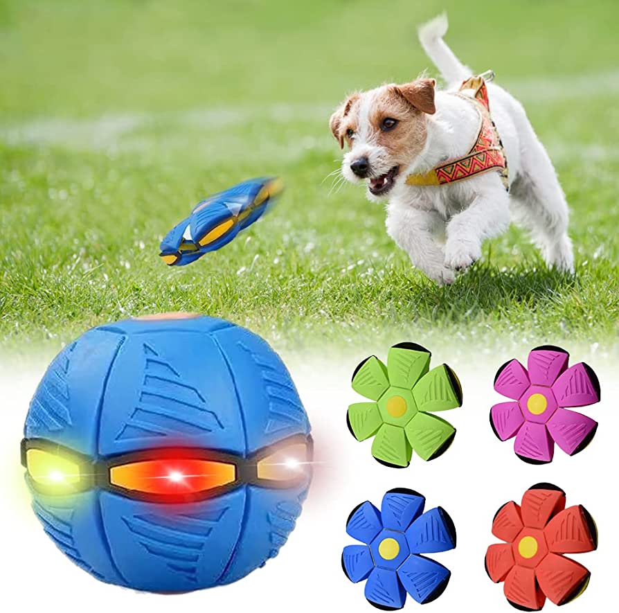 Brand Nameβ’ Dog Frisbee